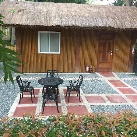 Buenavista Family Inn Tagudin Exteriér fotografie