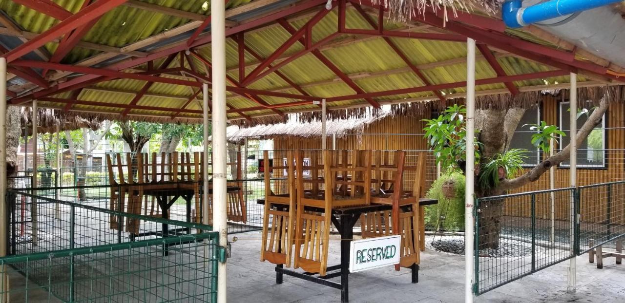 Buenavista Family Inn Tagudin Exteriér fotografie