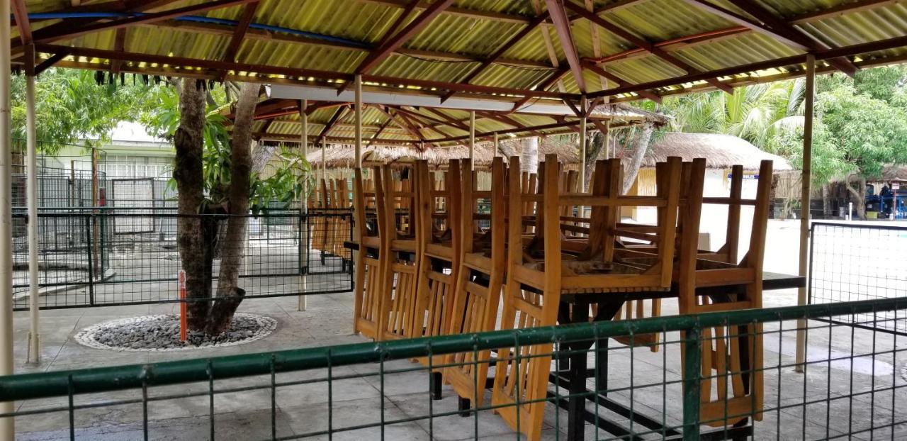 Buenavista Family Inn Tagudin Exteriér fotografie