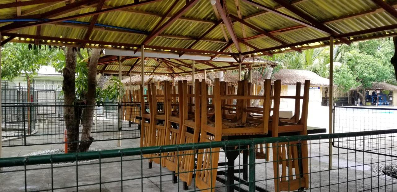 Buenavista Family Inn Tagudin Exteriér fotografie